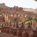 شهيوات بلادي